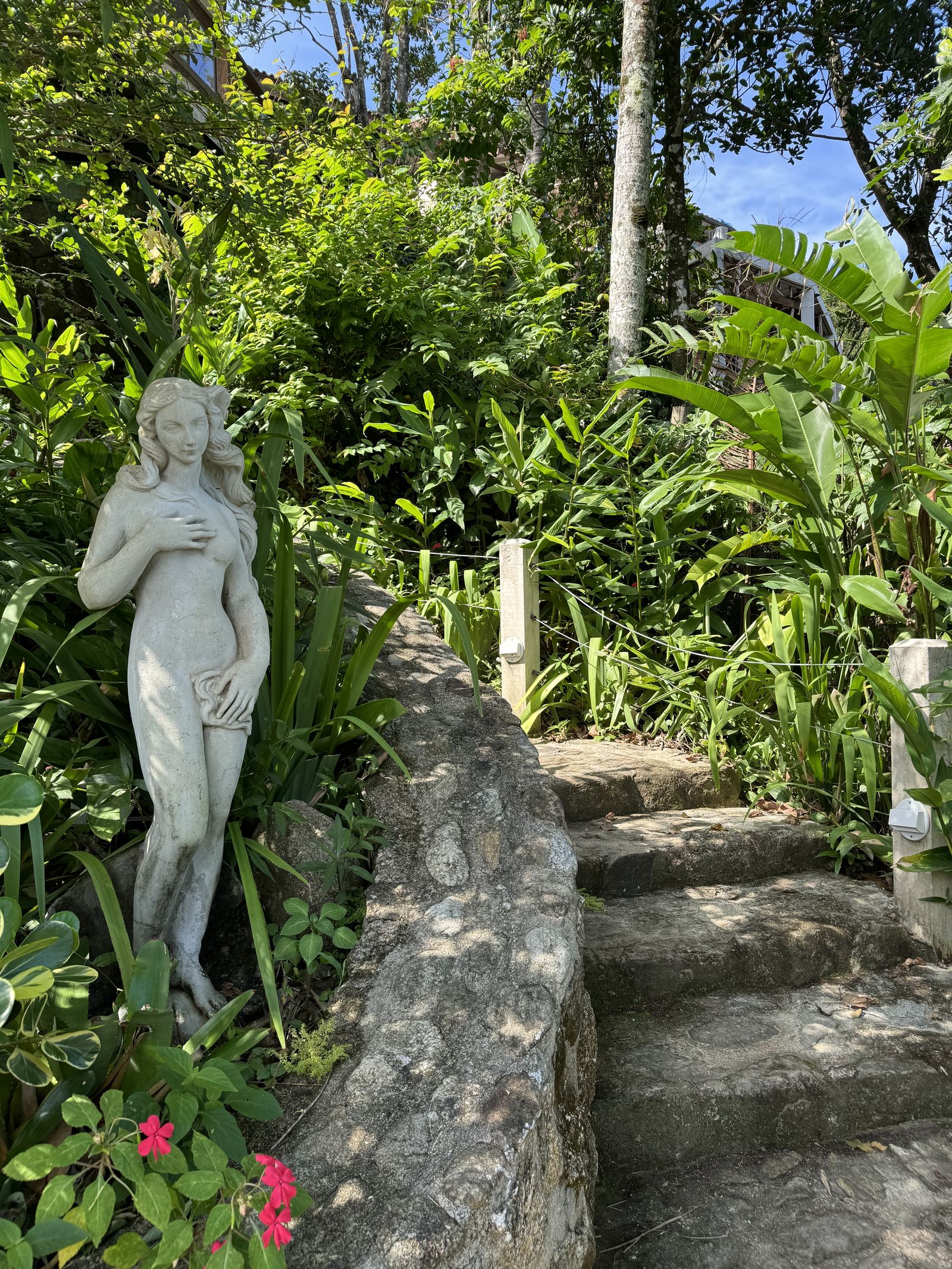 A statue on the garden steps