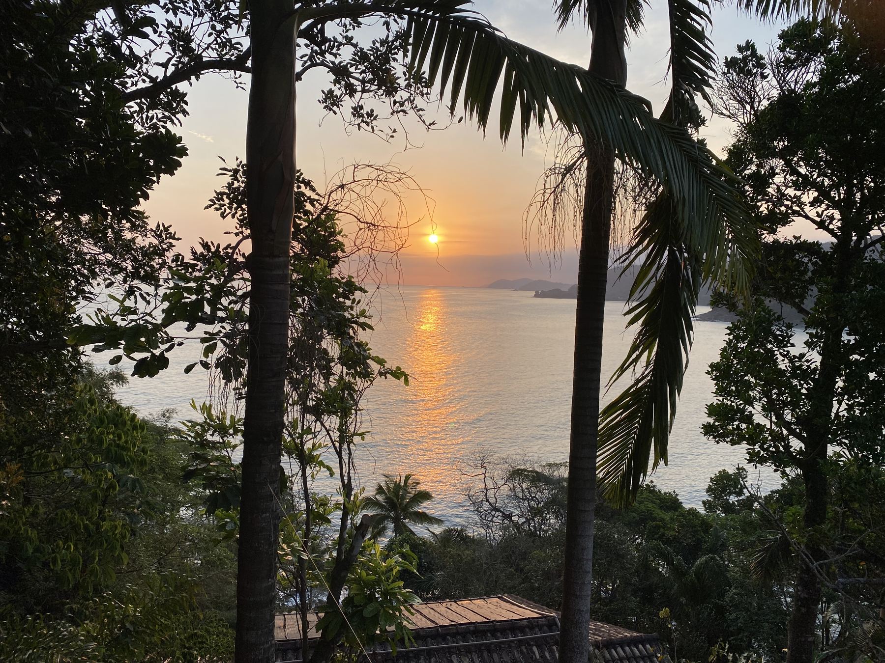 Sunset over the sea through the palms