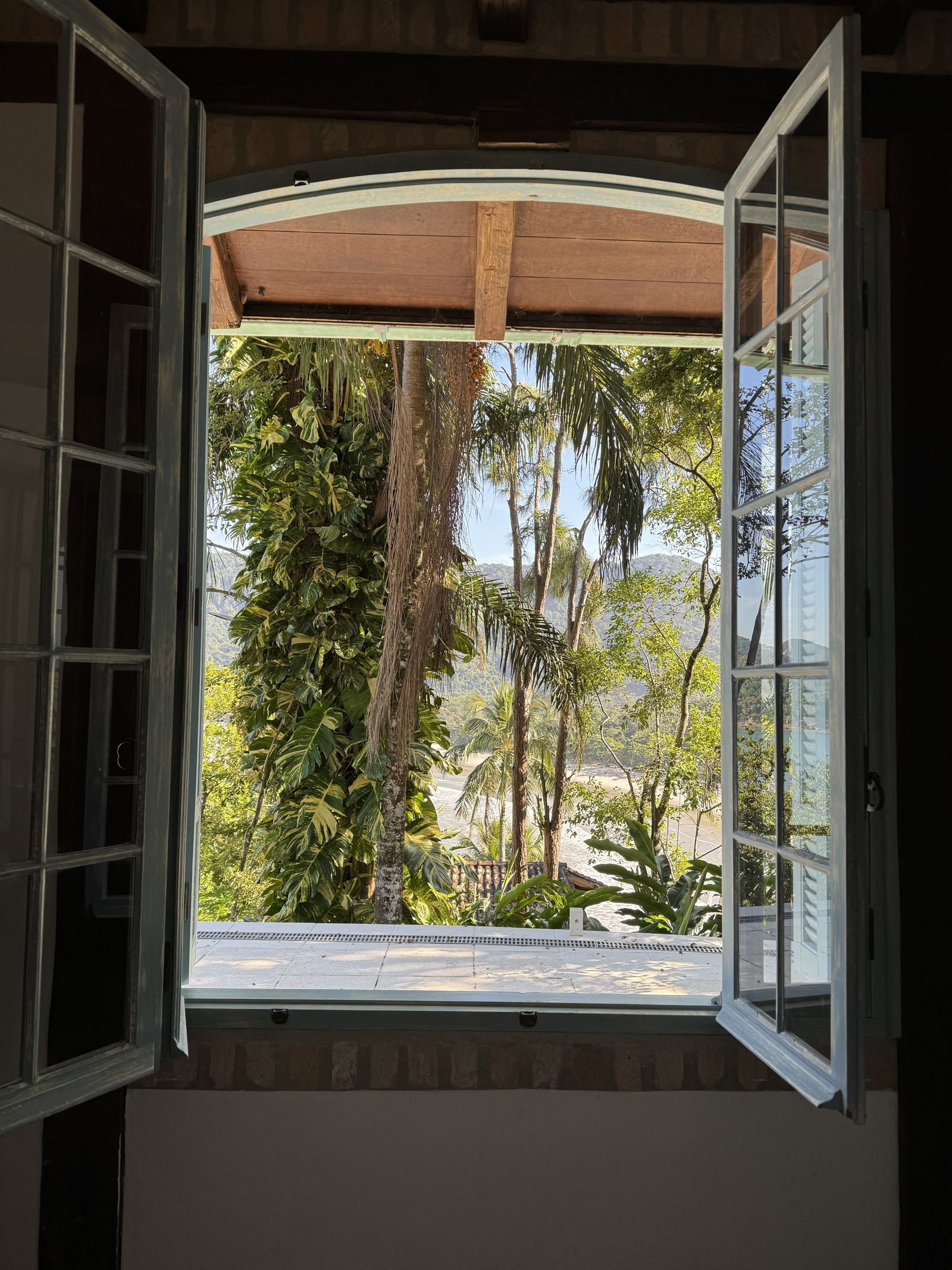 A window framing the forest